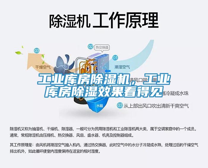 工業(yè)庫房除濕機(jī)，工業(yè)庫房除濕效果看得見