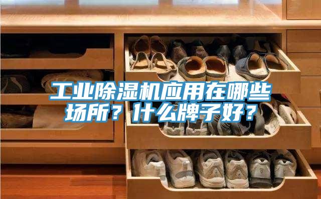 工業(yè)除濕機應(yīng)用在哪些場所？什么牌子好？