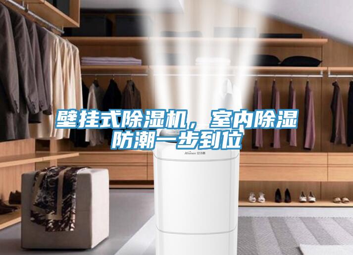 壁掛式除濕機，室內(nèi)除濕防潮一步到位