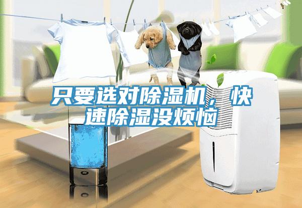 只要選對除濕機(jī)，快速除濕沒煩惱