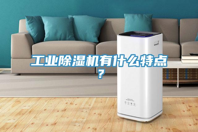 工業(yè)除濕機(jī)有什么特點(diǎn)？