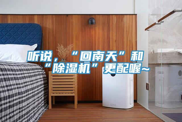 聽說(shuō)，“回南天”和“除濕機(jī)”更配喔~