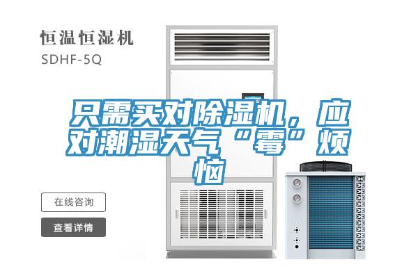 只需買對(duì)除濕機(jī)，應(yīng)對(duì)潮濕天氣“霉”煩惱