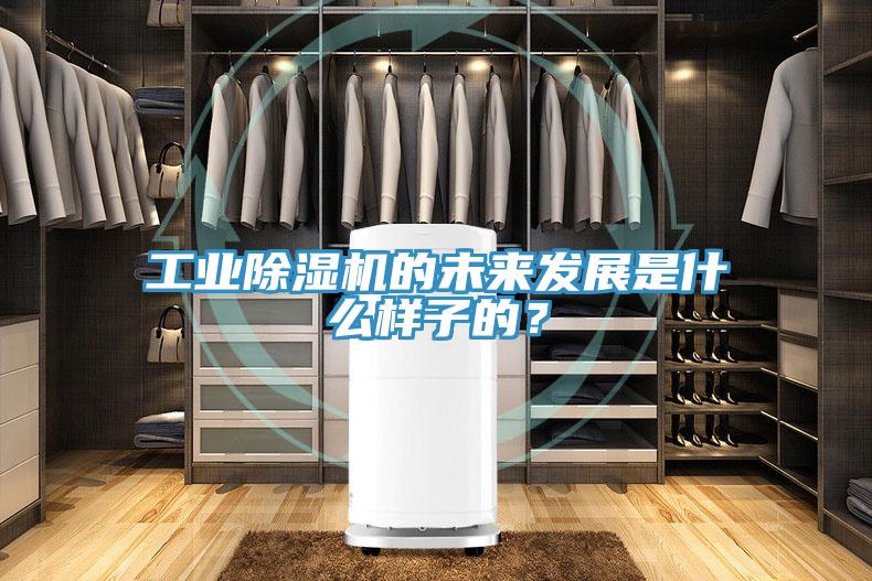 工業(yè)除濕機(jī)的未來發(fā)展是什么樣子的？