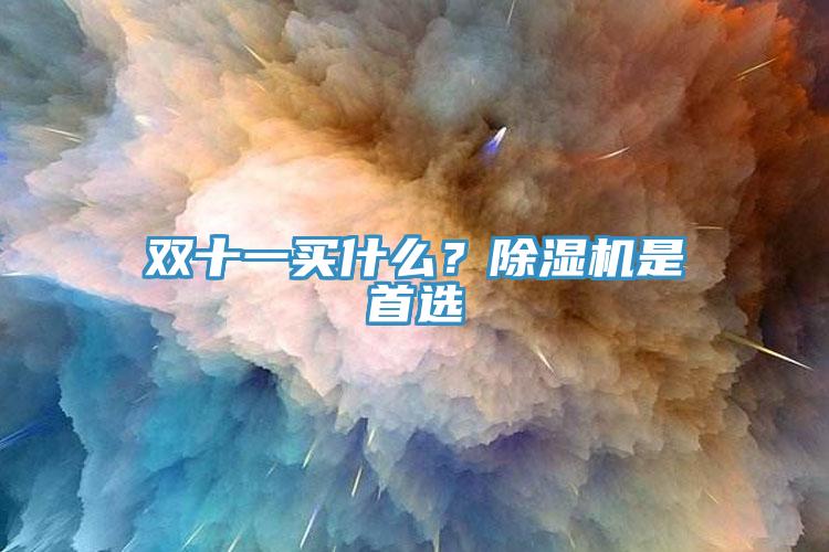 雙十一買(mǎi)什么？除濕機(jī)是首選