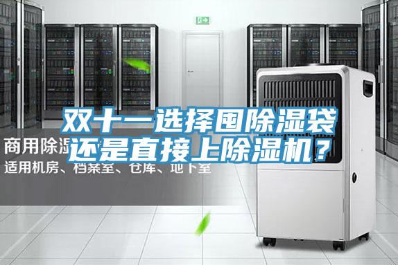 雙十一選擇囤除濕袋還是直接上除濕機(jī)？