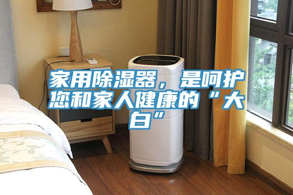 家用除濕器，是呵護(hù)您和家人健康的“大白”