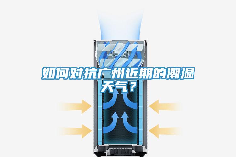 如何對抗廣州近期的潮濕天氣？
