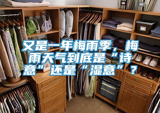 又是一年梅雨季，梅雨天氣到底是“詩意”還是“濕意”？