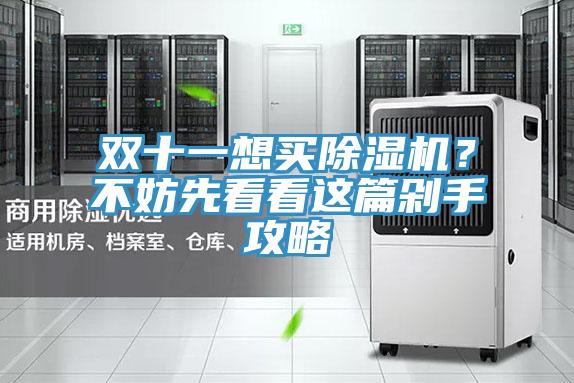 雙十一想買除濕機(jī)？不妨先看看這篇剁手攻略