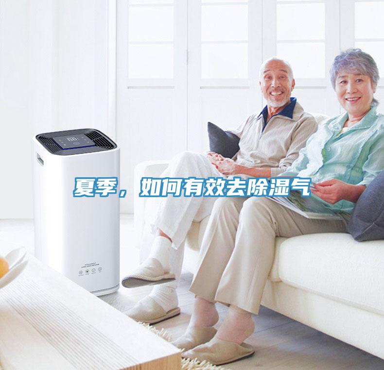 夏季，如何有效去除濕氣