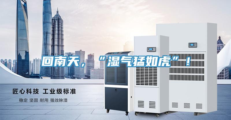 回南天，“濕氣猛如虎”！