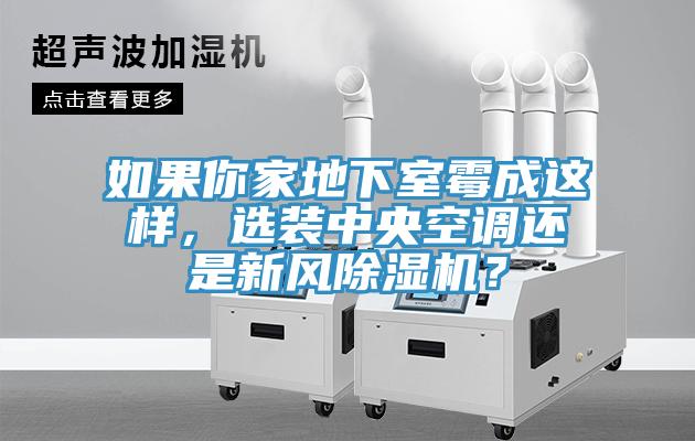 如果你家地下室霉成這樣，選裝中央空調還是新風除濕機？
