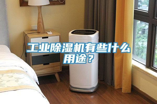 工業(yè)除濕機(jī)有些什么用途？