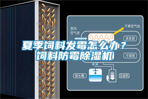 夏季飼料發(fā)霉怎么辦？飼料防霉除濕機(jī)