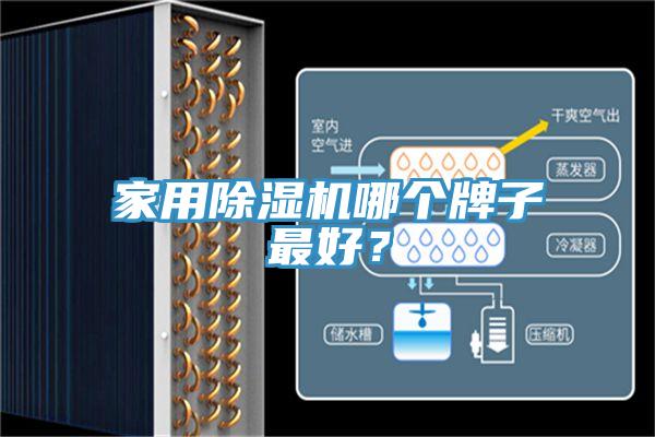 家用除濕機(jī)哪個(gè)牌子最好？