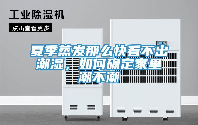夏季蒸發(fā)那么快看不出潮濕，如何確定家里潮不潮