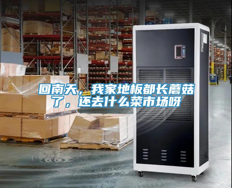 回南天，我家地板都長蘑菇了，還去什么菜市場呀