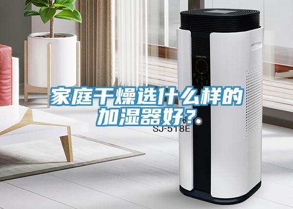 家庭干燥選什么樣的加濕器好？