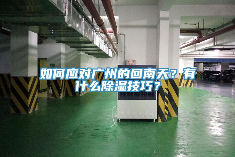 如何應(yīng)對廣州的回南天？有什么除濕技巧？