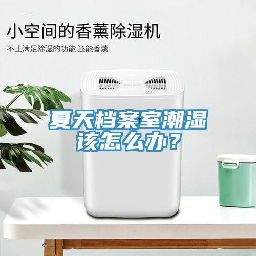 夏天檔案室潮濕該怎么辦？