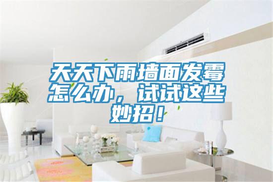天天下雨墻面發(fā)霉怎么辦，試試這些妙招！