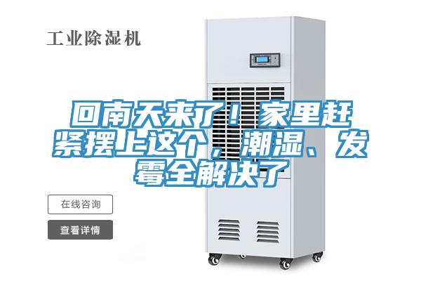 回南天來了！家里趕緊擺上這個(gè)，潮濕、發(fā)霉全解決了