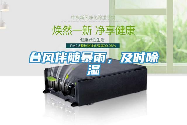 臺(tái)風(fēng)伴隨暴雨，及時(shí)除濕