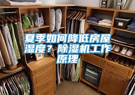 夏季如何降低房屋濕度？除濕機工作原理