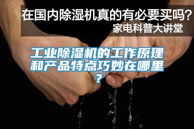 工業(yè)除濕機(jī)的工作原理和產(chǎn)品特點(diǎn)巧妙在哪里？