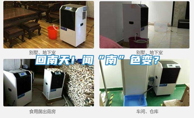 回南天！聞“南”色變？
