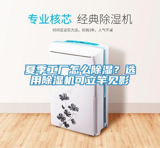 夏季工廠怎么除濕？選用除濕機(jī)可立竿見影