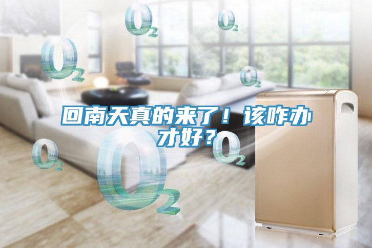 回南天真的來(lái)了！該咋辦才好？