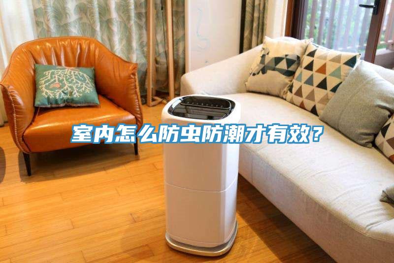 室內(nèi)怎么防蟲(chóng)防潮才有效？