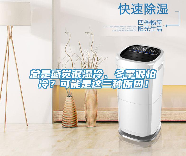 總是感覺很濕冷、冬季很怕冷？可能是這三種原因！