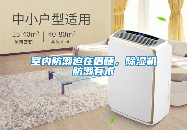室內防潮迫在眉睫，除濕機防潮有術