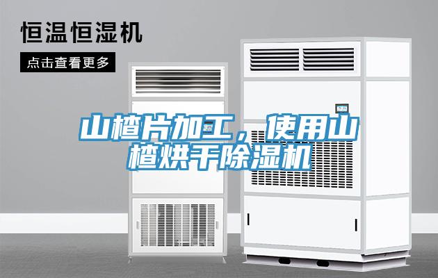 山楂片加工，使用山楂烘干除濕機