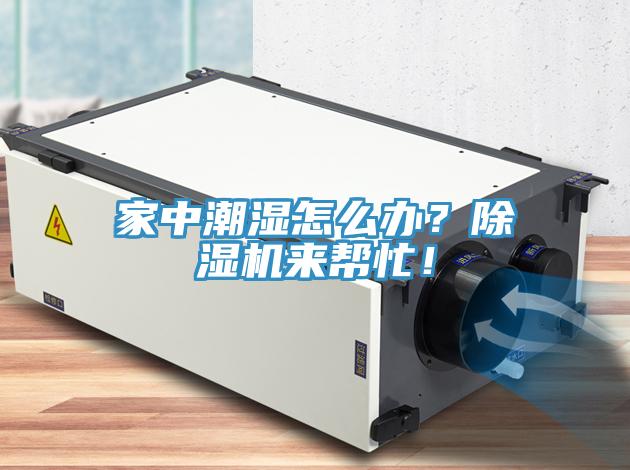 家中潮濕怎么辦？除濕機(jī)來幫忙！