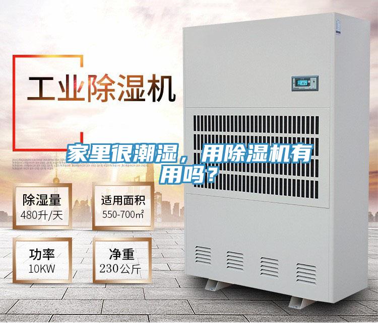 家里很潮濕，用除濕機(jī)有用嗎？