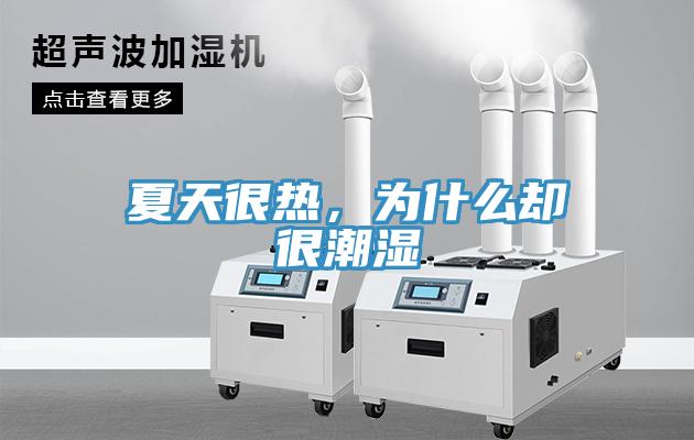 夏天很熱，為什么卻很潮濕