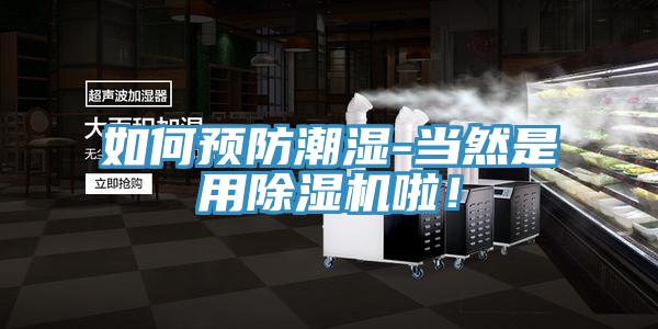 如何預(yù)防潮濕-當(dāng)然是用除濕機啦！
