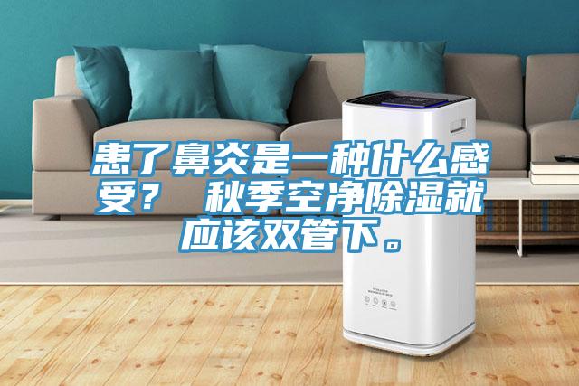 患了鼻炎是一種什么感受？ 秋季空凈除濕就應(yīng)該雙管下。