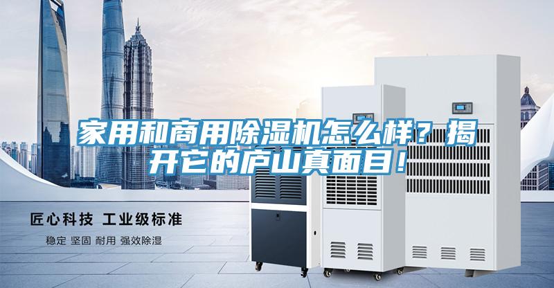 家用和商用除濕機(jī)怎么樣？揭開(kāi)它的廬山真面目！