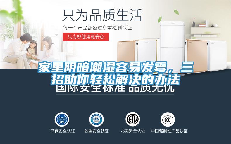 家里陰暗潮濕容易發(fā)霉，三招助你輕松解決的辦法