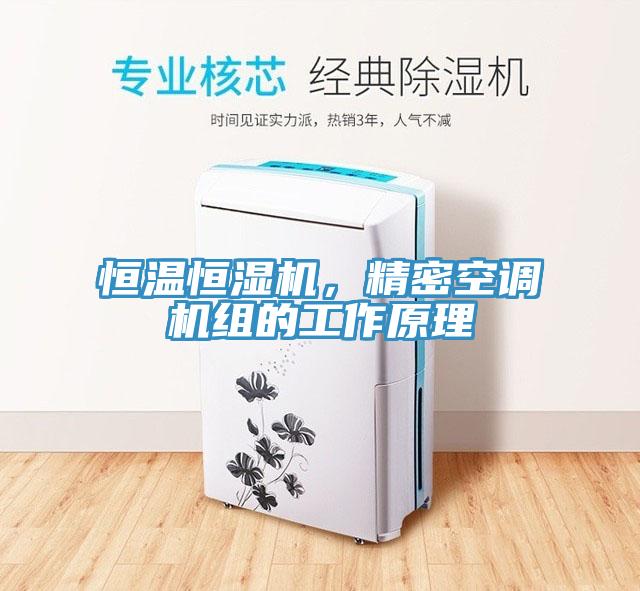 恒溫恒濕機，精密空調機組的工作原理