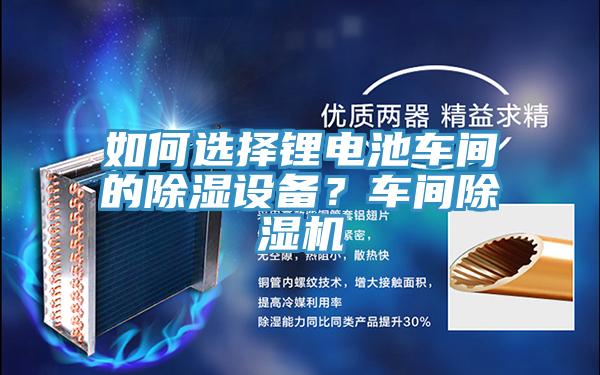 如何選擇鋰電池車間的除濕設(shè)備？車間除濕機(jī)
