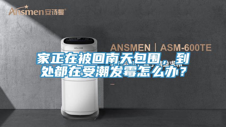 家正在被回南天包圍，到處都在受潮發(fā)霉怎么辦？