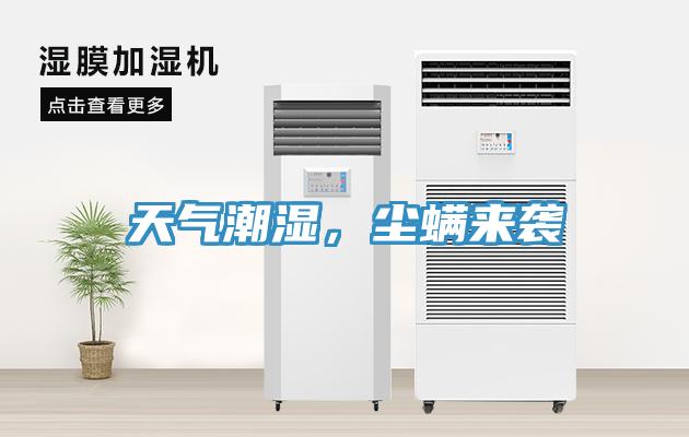 天氣潮濕，塵螨來(lái)襲