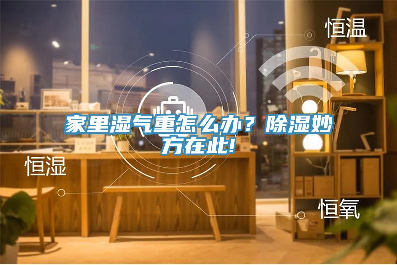 家里濕氣重怎么辦？除濕妙方在此!