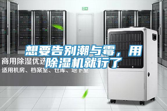 想要告別潮與霉，用除濕機(jī)就行了